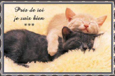 ils son mignons